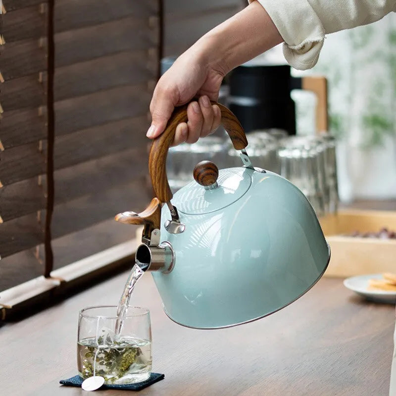 Stainless Steel Whistle Kettle
